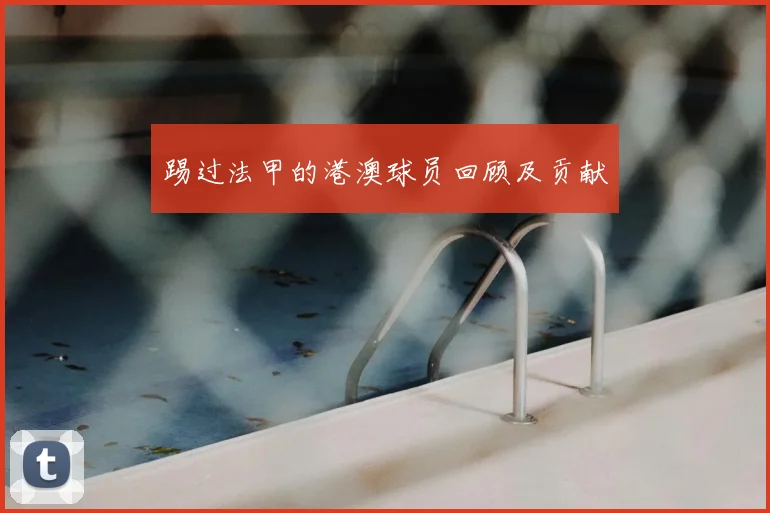 踢过法甲的港澳球员回顾及贡献