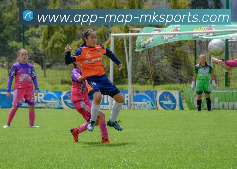 App Interface Preview