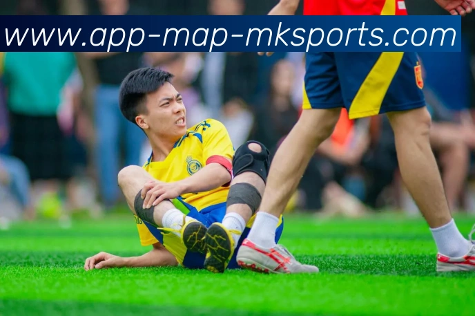 MK体育APPAPP 封面图